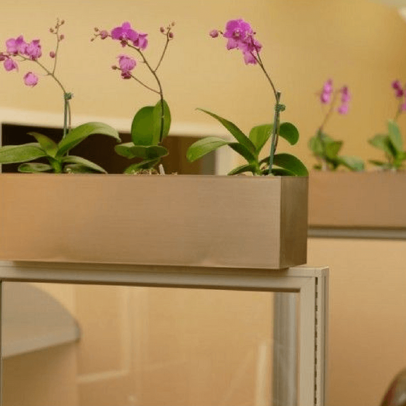 http://www.greencleandesigns.com/wp-content/uploads/2018/04/cubicle-plant-hanger-greencleandesigns.com_.png