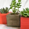 Office Succulent Plants biophilic design greencleandesigns.com Kansas City