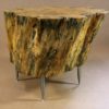 Industrial Tree Stump End Table