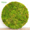 Moss in a Circle Framed greencleandesigns.com