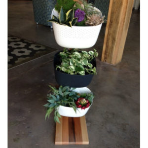 3 tier plant stand