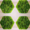 hexagon moss tiles