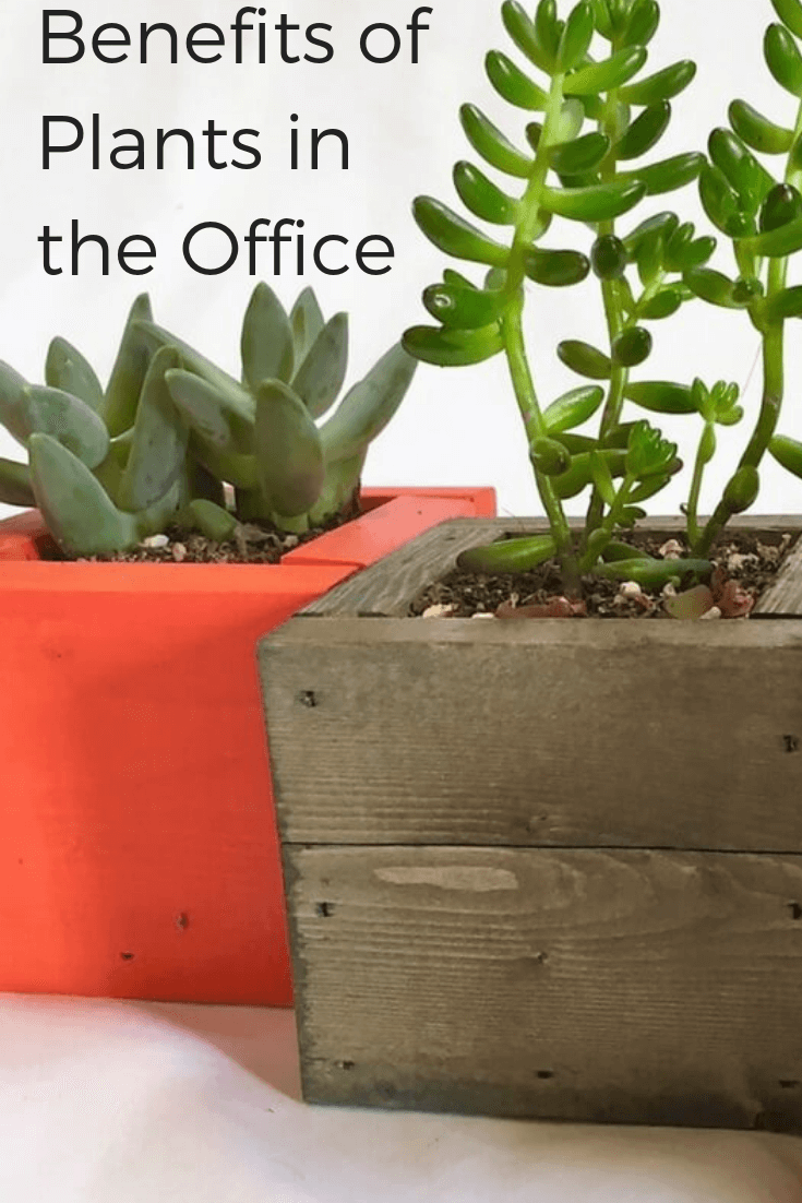 benefits of plants in the office pinterest