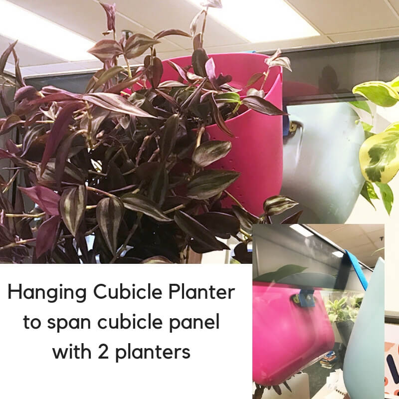 hanging cubicle planter