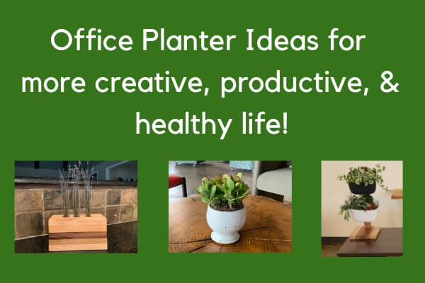 Office Planter Ideas for more creative, productive, & healthy life