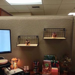 amazon cubicle shelf