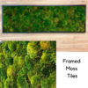 framed moss tiles