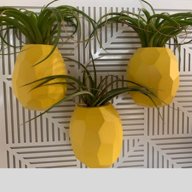 pineapple planter