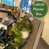 cubicle planter box