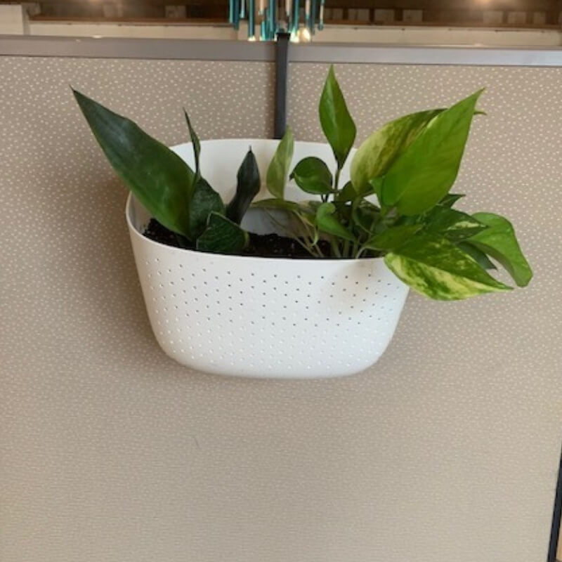 https://www.greencleandesigns.com/wp-content/uploads/2019/05/office-partition-planters-greencleandesigns.com_.jpg