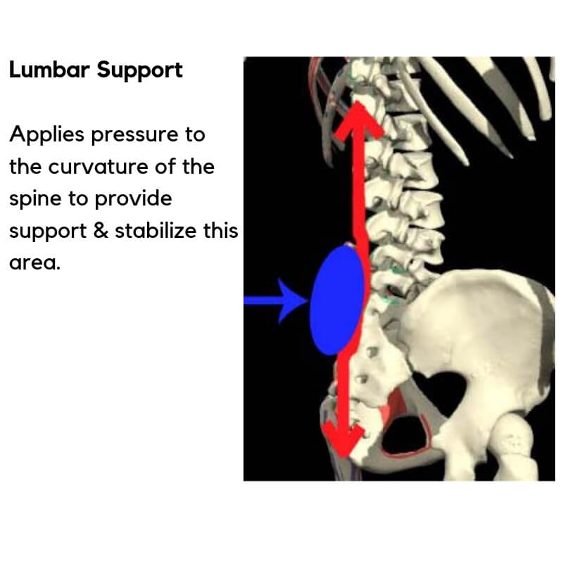 lumbar support greencleandesigns.com