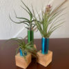 set of air plant holders greencleandesigns.com