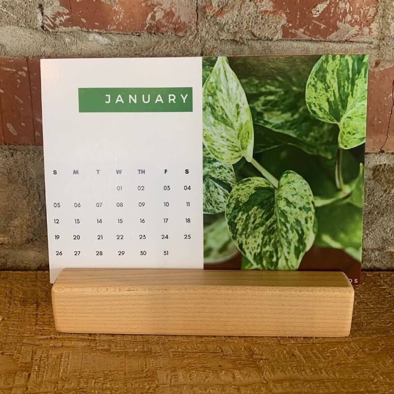 plant desk calendar with stand cubicle calendar