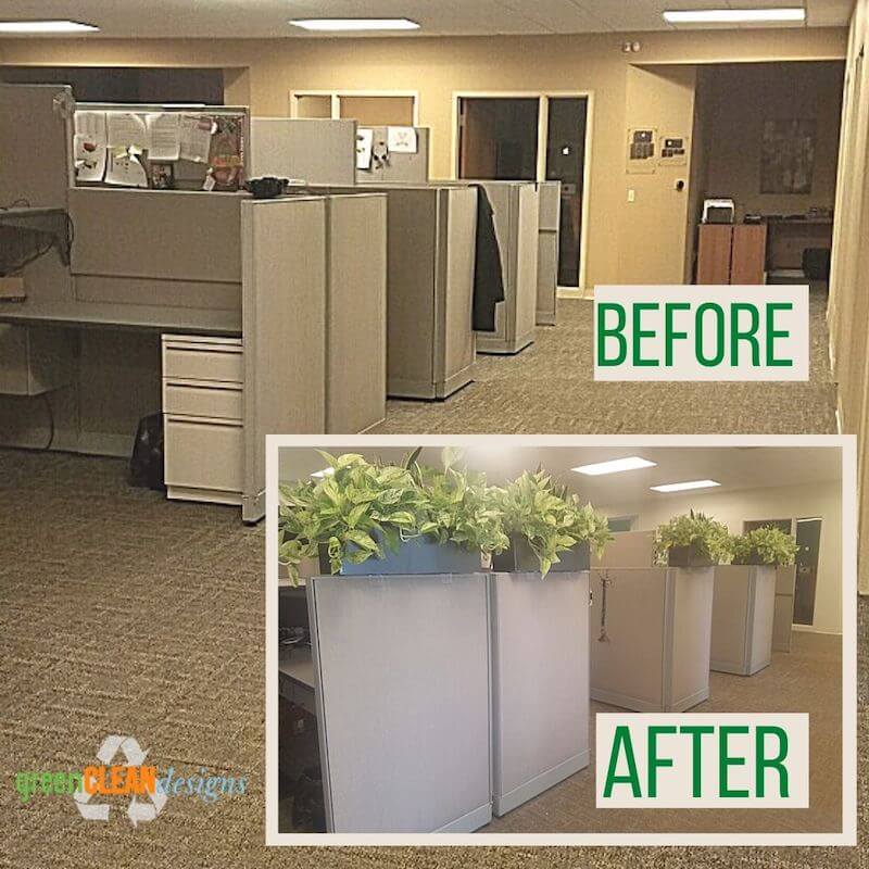before and after adding cubicle partition planters
