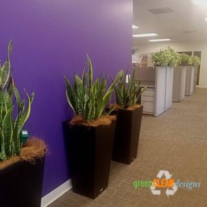 office interior design with plants