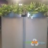 privacy planter