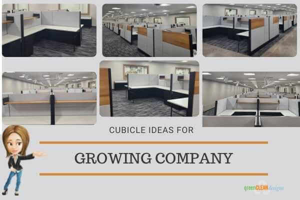 Cubicle ideas for Growing Company